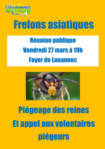 Frelons asiatique campagne 2026