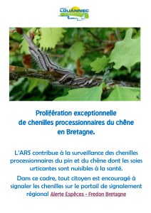Chenilles